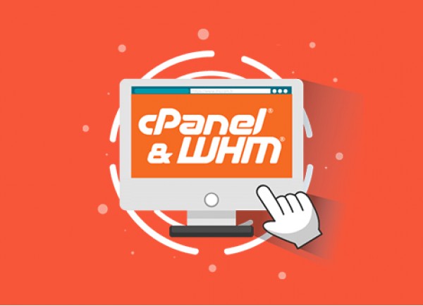 cPanel 1 Account