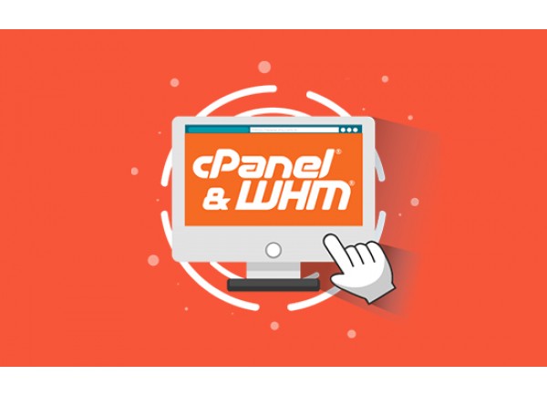 cPanel 30 Account